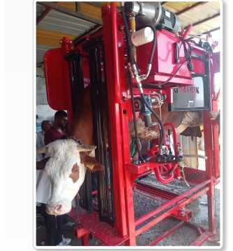 SIĞIRLARDA AYAK SAĞLIĞI VE UYGULAMALI TIRNAK BAKIMI KURSU
